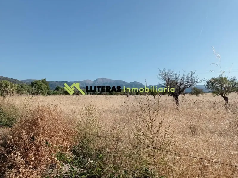 Discover this charming rustic estate located in the municipality of Lloseta, in a quiet environment surrounded by nature, just a few — photo 12