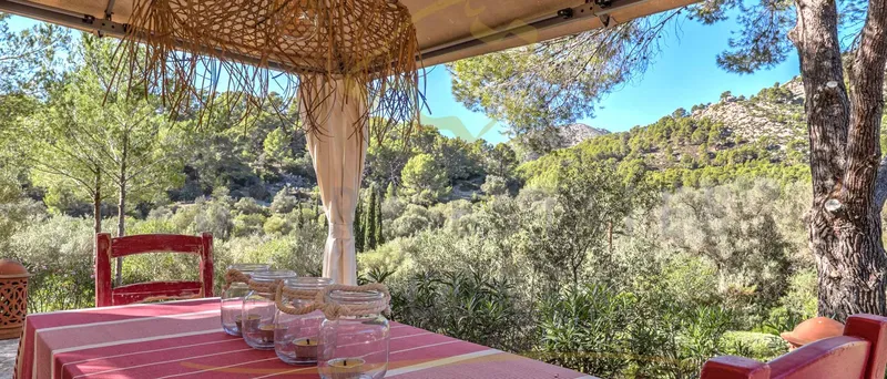 Quietly situated dreamlike finca in S'Arracó in the southwest of Mallorca — photo 4