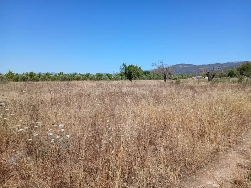 Located in the charming town of Consell, between Santa Maria and Consell, accessible via a comfortable paved road adjacent to the highway — photo 3