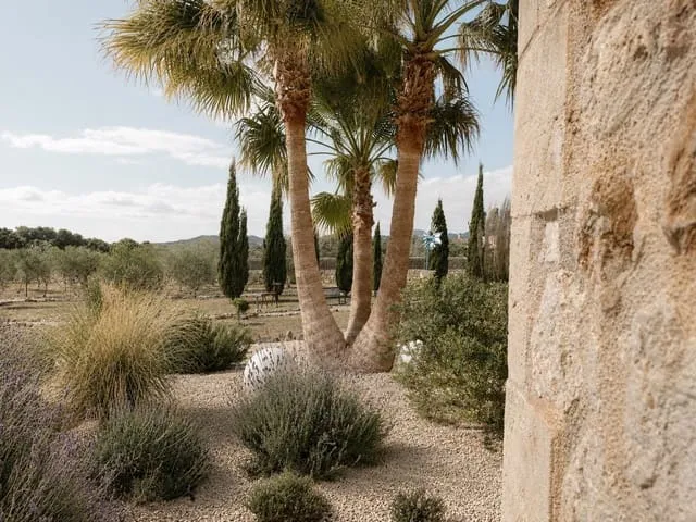 Finca/Country House for sale in Manacor, Mallorca — photo 10