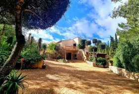 Charming Mallorcan finca in an excellent location — photo 2