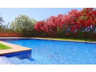 Beautiful finca with pool and holiday license!! Rustic house 3 bedrooms — photo 8
