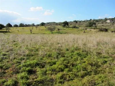 Rural Land - Son Servera, Built Surface 264m², Plot Surface 13217m² — photo 1