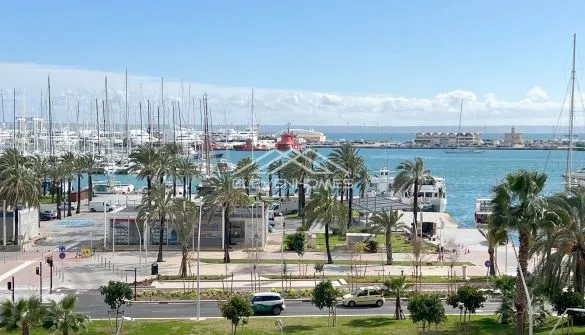 Flat in Palma — photo 1