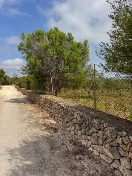 Unique dream finca with sea views and project to ... — photo 1