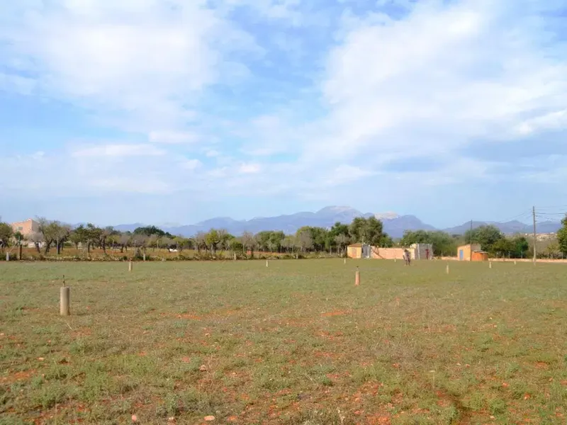 Land in Buger, Mallorca — photo 1