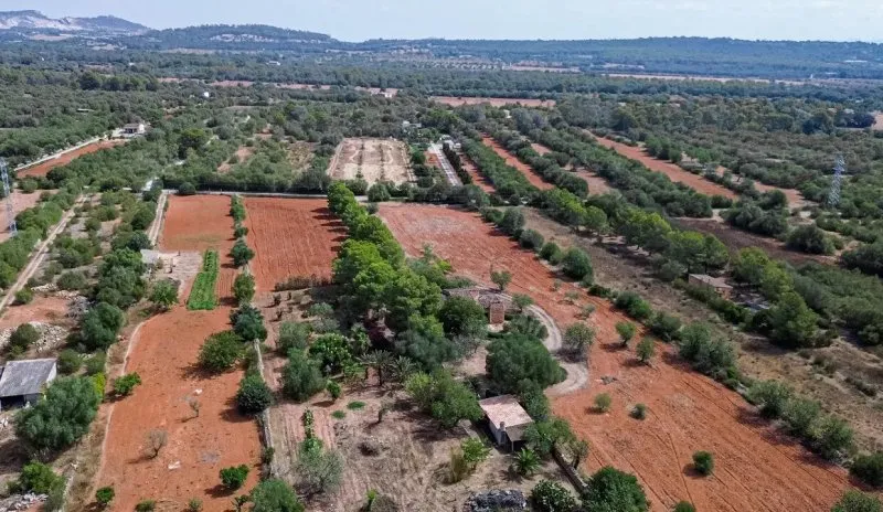 Finca with large plot and expansion potential near Campos — photo 3