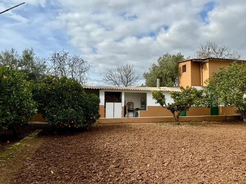 Investment opportunity in Cas Metge – Marratxí — photo 9