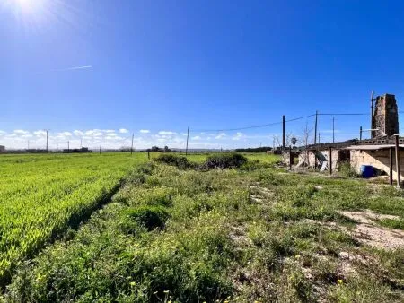 Rustic property - Sa Pobla (Pobla Sa), Built Surface 197m², Plot Surface 15727m², 1 Room — photo 2