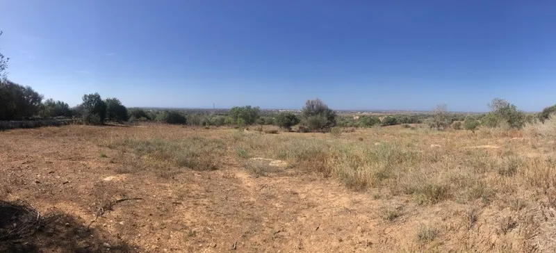 Plot between Santanyi and Cas Concos with beautiful panoramic views to the sea — photo 2