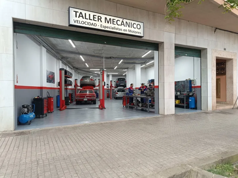 Local Comercial Premium en Manacor — photo 5