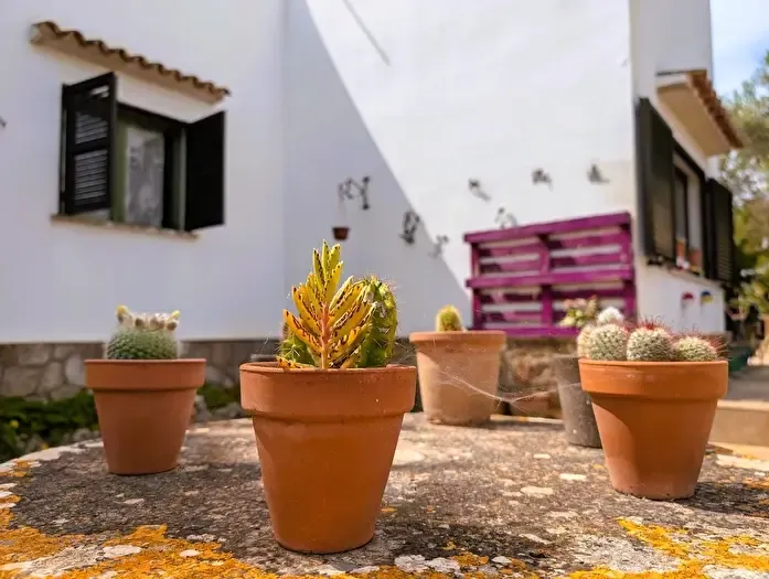Casa en venta de 4 habitaciones, SAlquería Blanca Calonge, Santanyí — photo 2