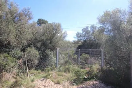 Rustic land - Llucmajor (Cala Pi-Vallgornera), plot surface 100,158 m², distance to the sea 3 km — photo 5