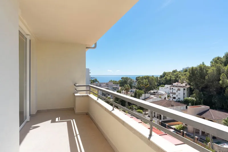 Newly renovated penthouse in San Agustín — photo 1