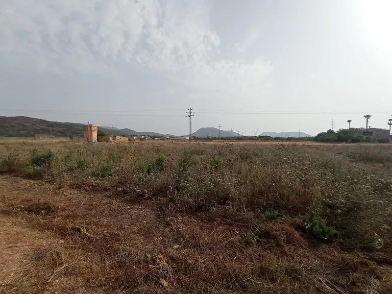 Plot of land - Búger (Buger), Built Surface 338m², Plot Surface 35000m² — photo 9
