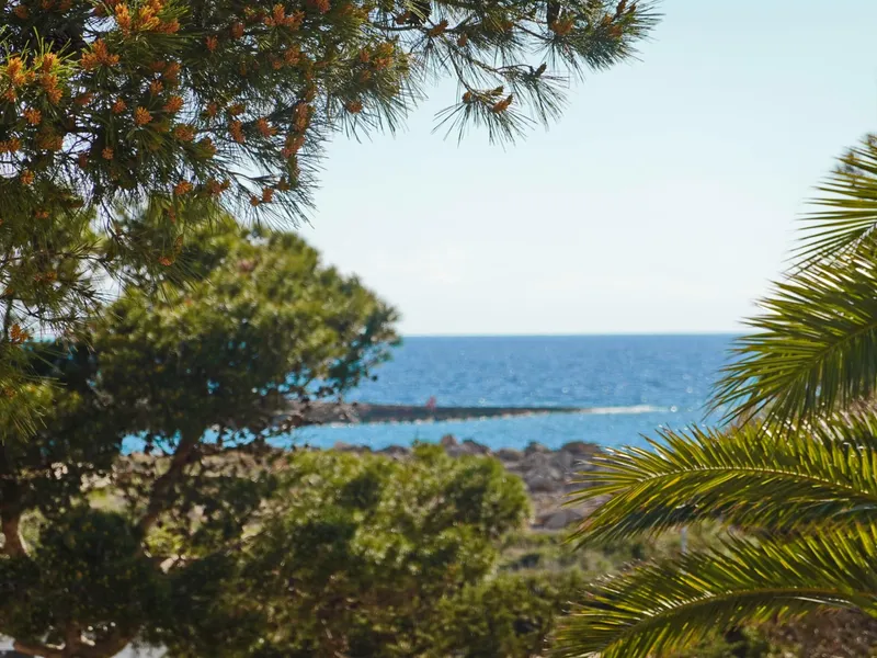 Frontal Sea Views! Bright Apartment only 250m from the Coast and the Beach in Colònia de S — photo 2