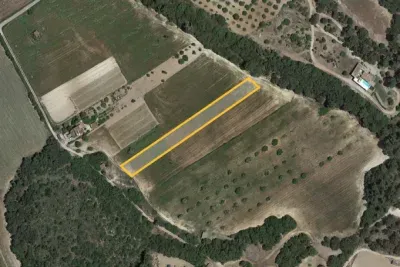 Cultivable land in Sant Joan — photo 1