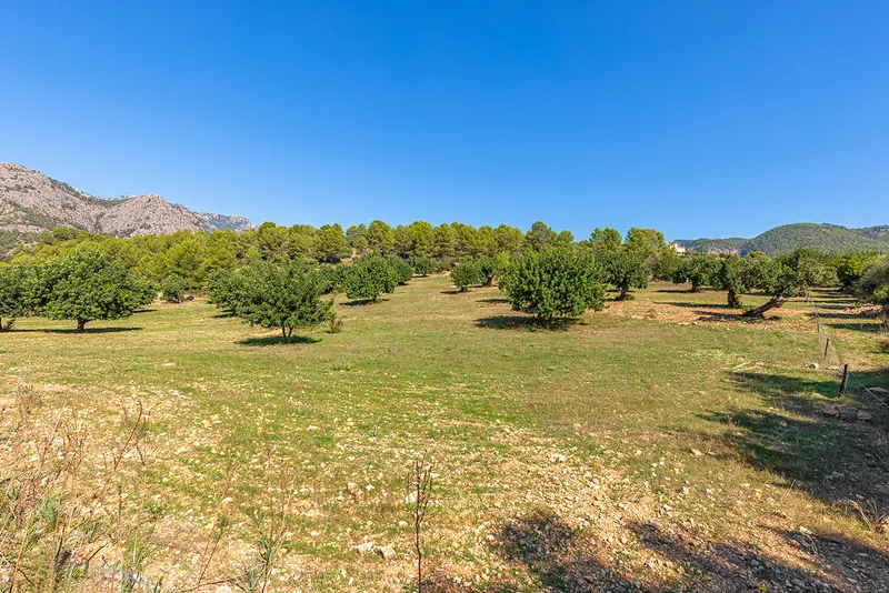 Plot in Bunyola - drone shot with view of the property — photo 4