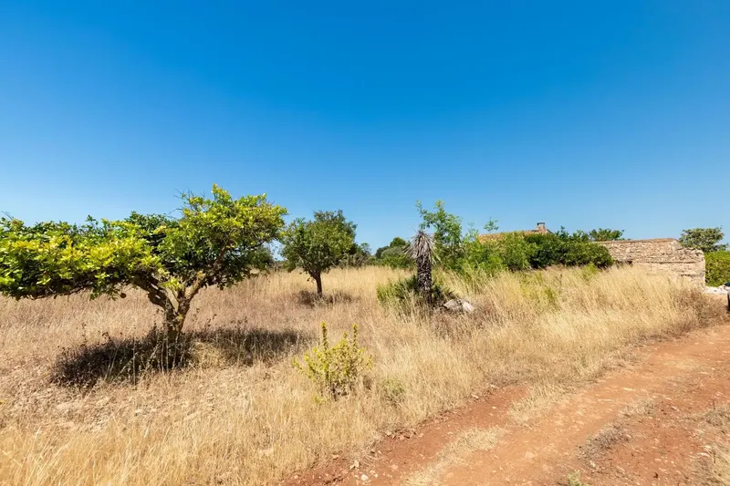 In an environment of absolute calm, surrounded by nature and with the charm of the rural landscape of Felanitx, this magnificent estate extends — photo 12