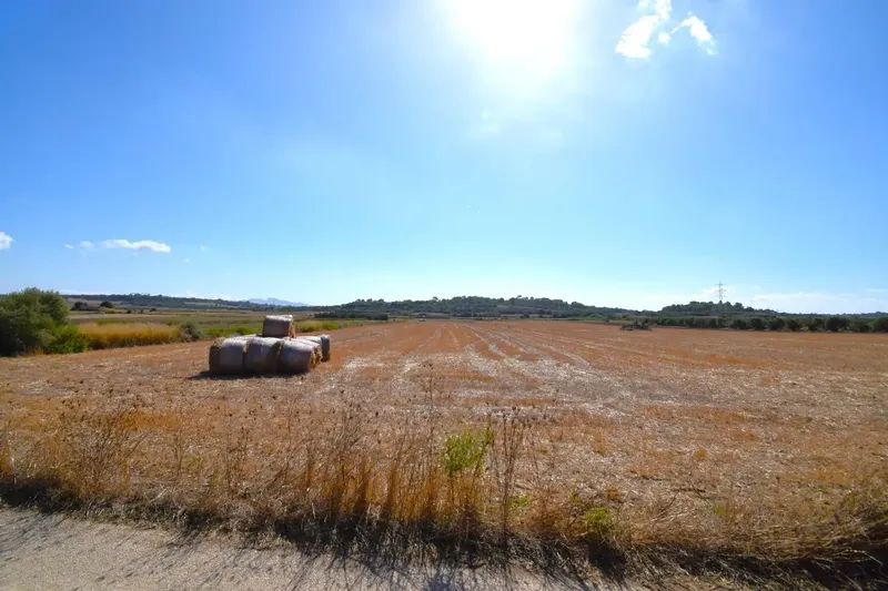 Set of plots totaling 19,622 m2, with the possibility of building a house in a privileged natural environment in Muro — photo 10