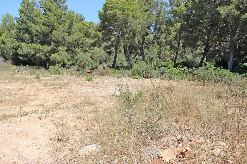 Santa Ponsa, 07180 — photo 1