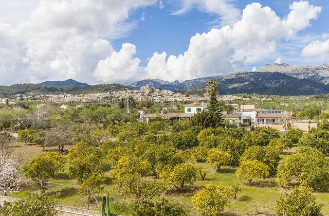 Country plot for sale ideal for building a family home in Moscari, Mallorca — photo 11