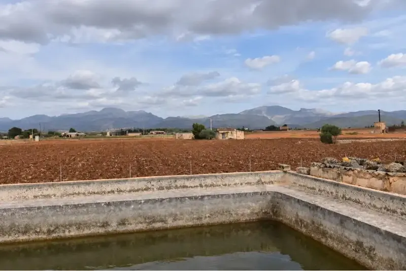 Finca rústica edificable con vistas a la Serra de Tramuntana – Muro. — photo 1