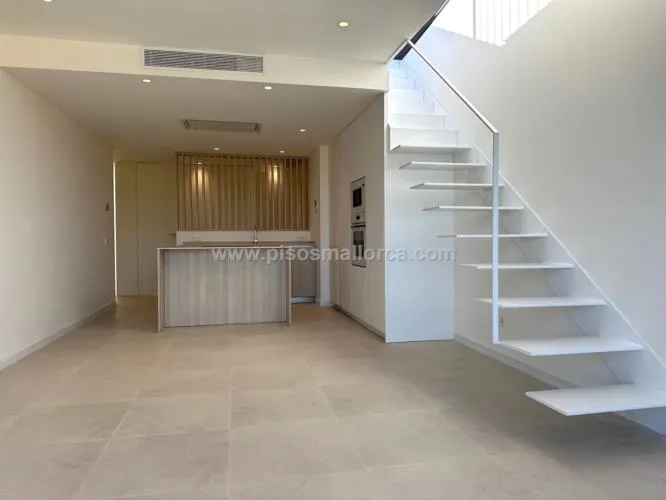 Penthouse. Palma de Mallorca, Son Cotoner area — photo 12