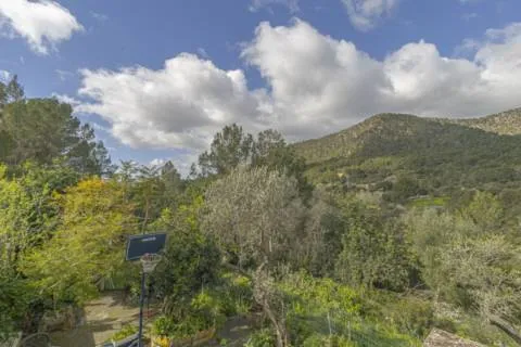 Rustic house — photo 12