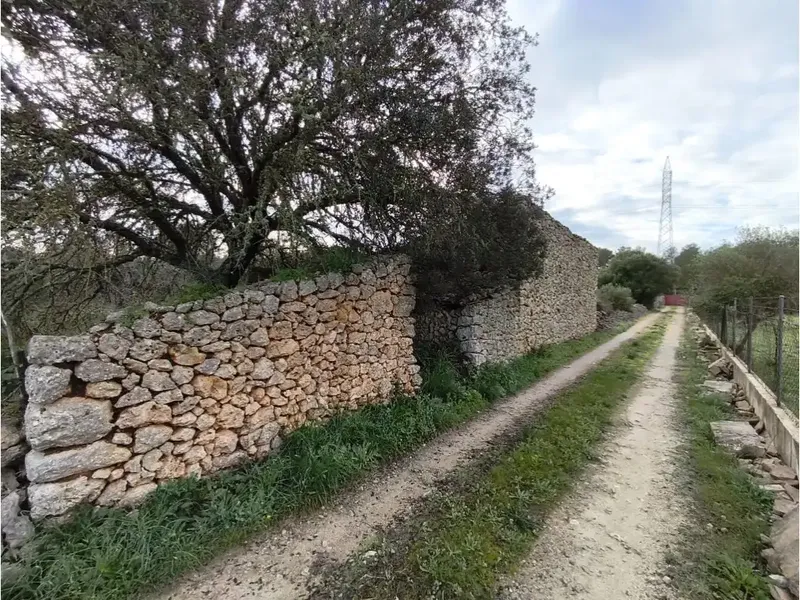 Discover this charming rustic estate located in the municipality of Llubí, one of the most authentic and tranquil areas of the interior — photo 4