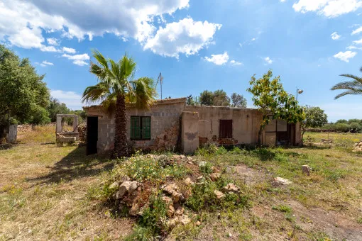 Vallgornera, rustic finca with great potential in Vallgornera — photo 7