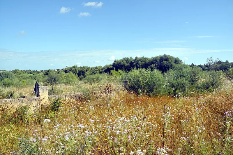 Country plot with project — photo 8