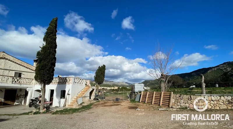 Country estate for renovation between the village and the port of Andratx — photo 6