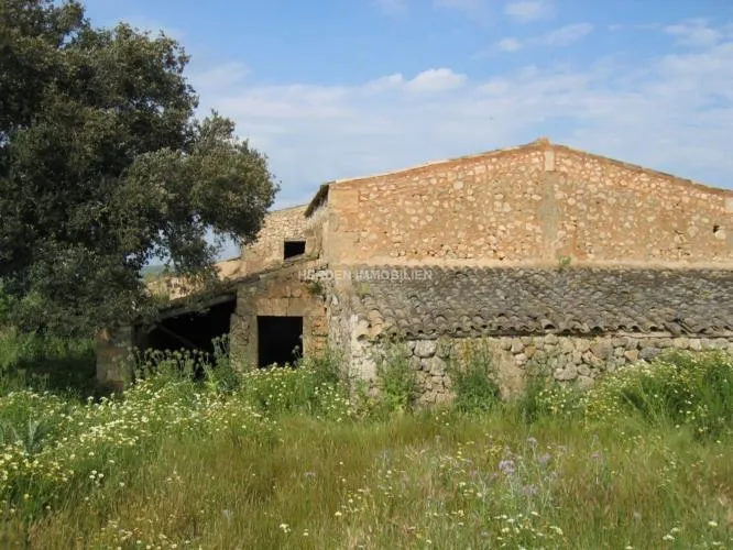 Renovation Project - Finca Manacor Mallorca for Sale — photo 9