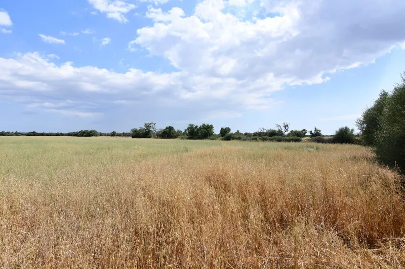 Plot located a few minutes from Campos — photo 3