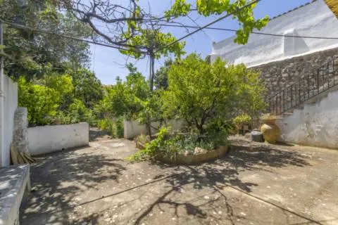 House — photo 3