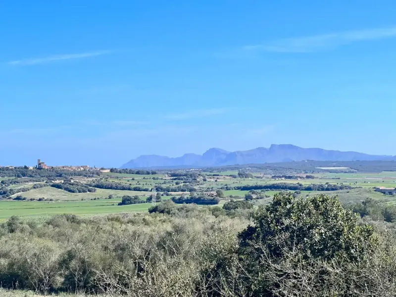 We are in Petra, in the middle of Pla de Mallorca, in a privileged setting with panoramic views, views of Ariany, Maria de la Salut — photo 4