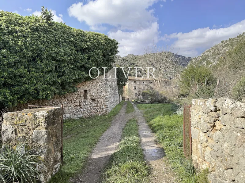 Wonderful rustic estate in Alaró — photo 4
