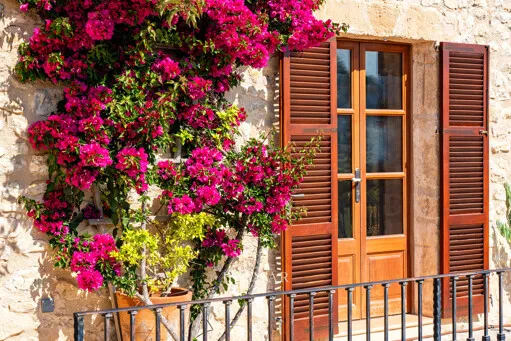 Finca near Sineu with 50 m2 pool, guest apartment and wonderful views! — photo 6
