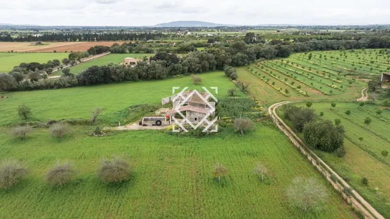 Exclusive rustic finca for sale in Binissalem, Mallorca — photo 1