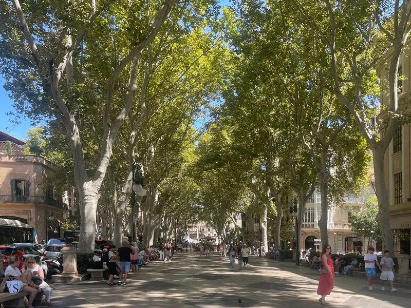 Building for sale with garden and terraces, Passeig del Born area, Palma. Ideal for investment. — photo 4