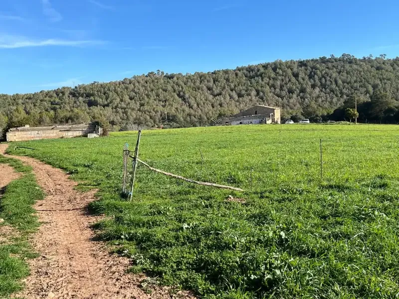 Discover this buildable rustic estate of approximately 59,500 m2, offering a construction of about 345 m2 with ample possibilities — photo 1