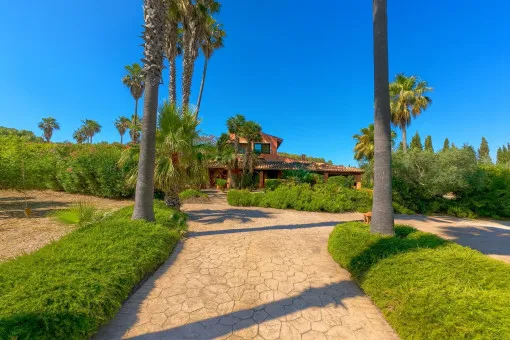Campanet: Charming finca with wonderful garden and pool in the idyllic countryside of Campanet — photo 6