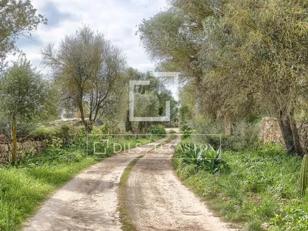 1,767m² country house with 700m² garden for sale in Llucmajor — photo 5