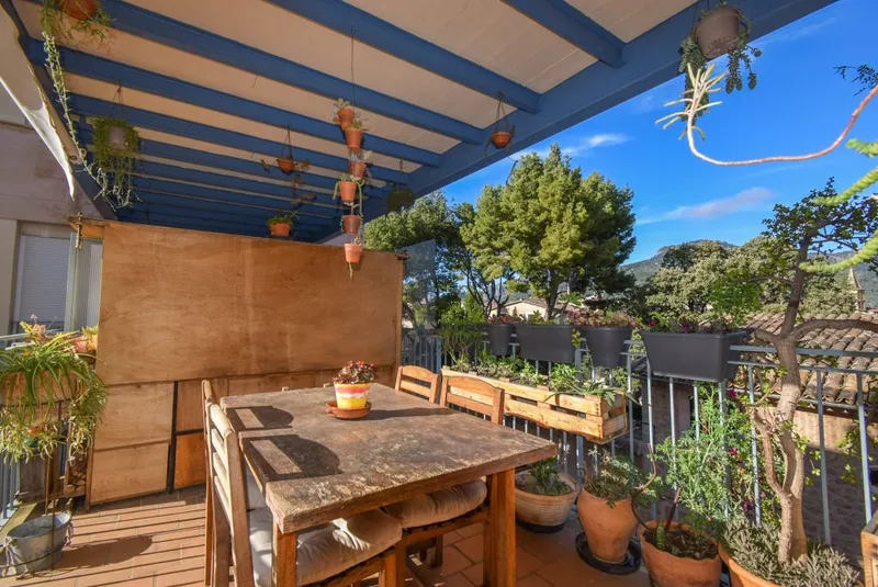 Bright apartment with communal garden and pool in Sóller — photo 4