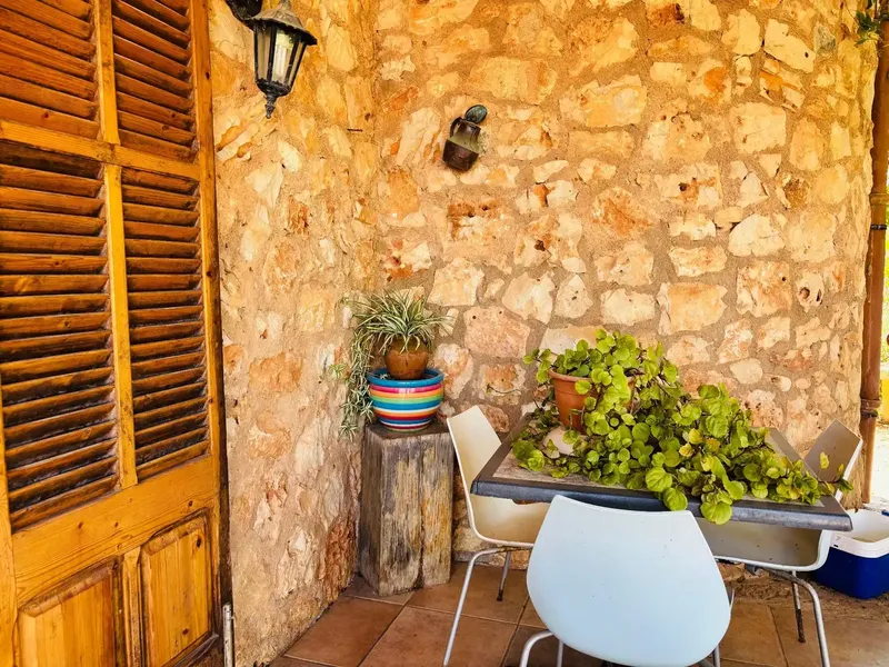 Charming rustic finca with pool in a privileged setting — photo 10