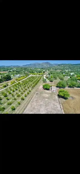 Casa de campo con piscina en Sant Llorenç des Cardassar disponible a partir de Noviembre 2026 — photo 2