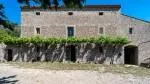 Rustic Finca for sale in Escorca — photo 2