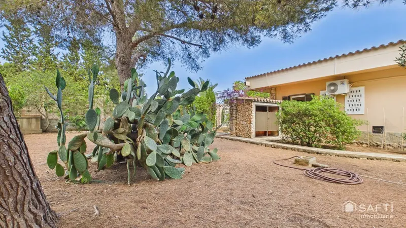 Cozy urban chalet with a large garden in Calas de Mallorca — photo 10