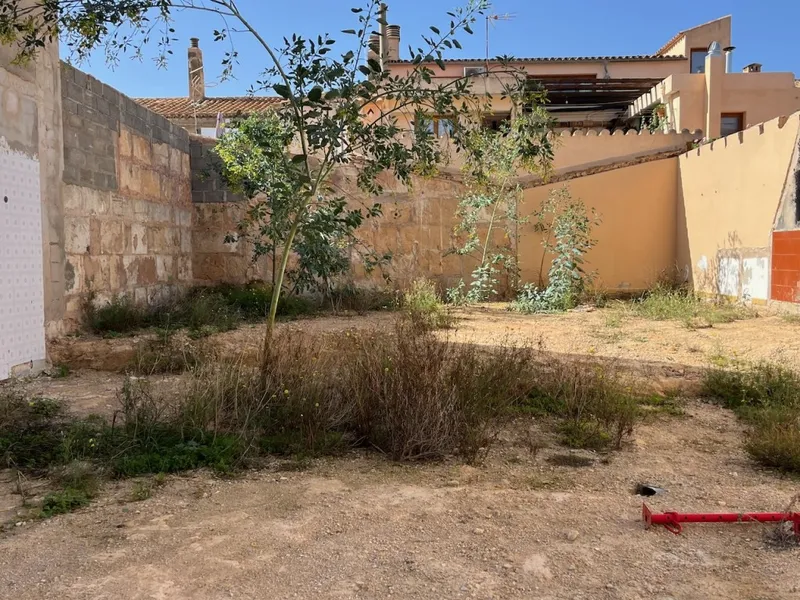 Ses Salines prestigious area house for sale — photo 10
